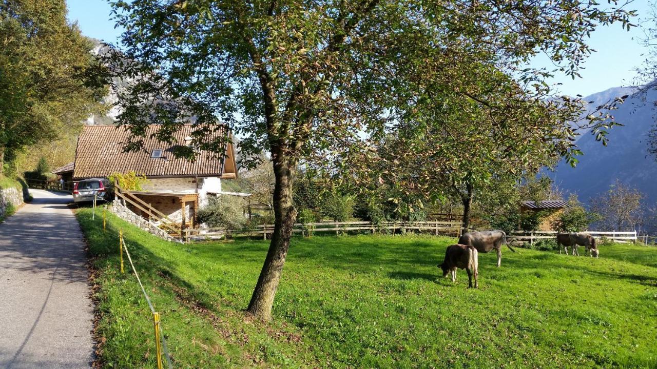 Chalet La Nos Molina di Ledro Rum bild